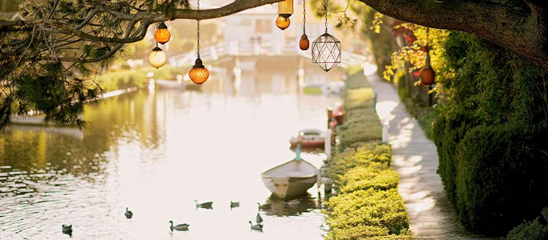 Top Summer Insurance Claims: How To Avoid  Them